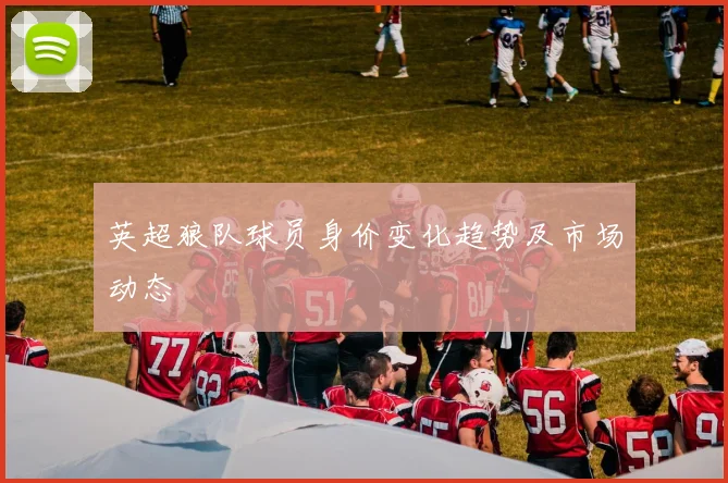 英超狼队球员身价变化趋势及市场动态
