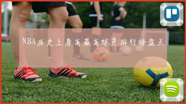 NBA历史上身高最高球员排行榜盘点