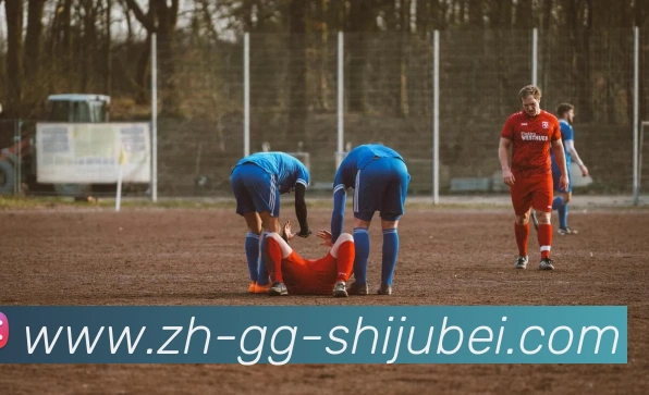 多媒体互动体验