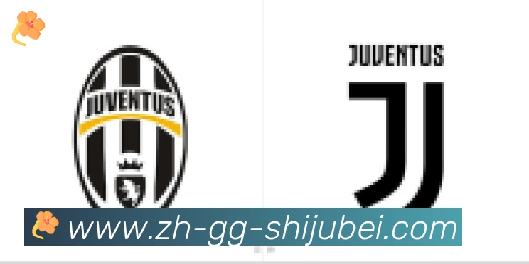 世界杯赛程表合作伙伴