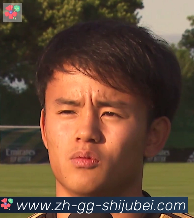 维尼修斯